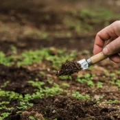 Farm Base: Fertilizer, Seed, and Land Allocation