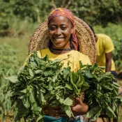 Farm Base: Fertilizer, Seed, and Land Allocation