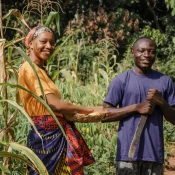 Farm Base: Fertilizer, Seed, and Land Allocation